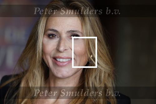 Amsterdam 15 oktober 2024
Boekpresentatie Susan Smit in Hotel the Hoxton . Heleen v Royen