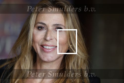 Amsterdam 15 oktober 2024
Boekpresentatie Susan Smit in Hotel the Hoxton . Heleen v Royen