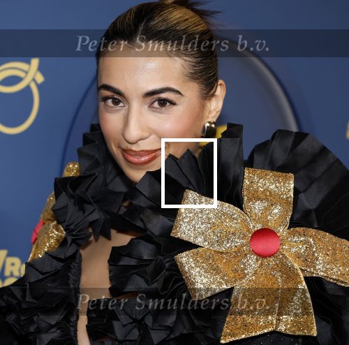 Amsterdam 17 oktober 2024
Het televizierring gala 2024  in carre . Hila Noorzai kwam met renze Klamer