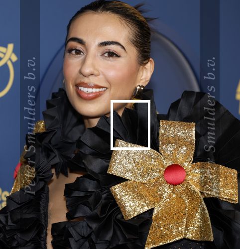 Amsterdam 17 oktober 2024
Het televizierring gala 2024  in carre . Hila Noorzai kwam met renze Klamer