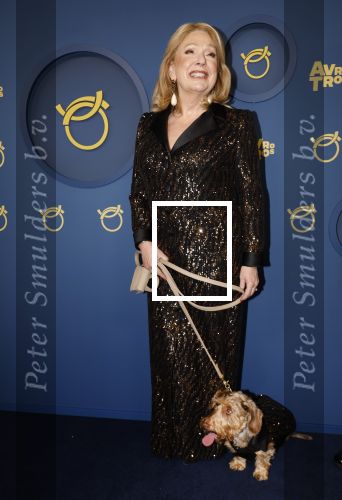 Amsterdam 17 oktober 2024
Het televizierring gala 2024  in carre . Andre v Duin won een Oeuvre ring . Hij kwam samen met vriend Fernando en Janny v d Heijden en haar hondje Nhaan