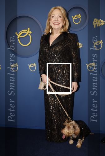 Amsterdam 17 oktober 2024
Het televizierring gala 2024  in carre . Andre v Duin won een Oeuvre ring . Hij kwam samen met vriend Fernando en Janny v d Heijden en haar hondje Nhaan
