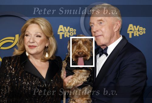 Amsterdam 17 oktober 2024
Het televizierring gala 2024  in carre . Andre v Duin won een Oeuvre ring . Hij kwam samen met vriend Fernando en Janny v d Heijden en haar hondje Nhaan