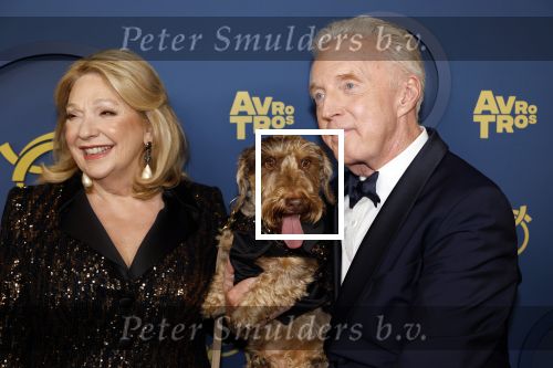 Amsterdam 17 oktober 2024
Het televizierring gala 2024  in carre . Andre v Duin won een Oeuvre ring . Hij kwam samen met vriend Fernando en Janny v d Heijden en haar hondje Nhaan