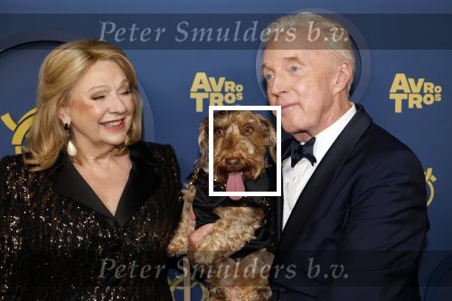 Amsterdam 17 oktober 2024
Het televizierring gala 2024  in carre . Andre v Duin won een Oeuvre ring . Hij kwam samen met vriend Fernando en Janny v d Heijden en haar hondje Nhaan