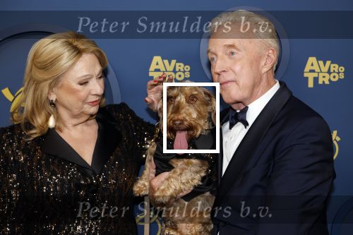 Amsterdam 17 oktober 2024
Het televizierring gala 2024  in carre . Andre v Duin won een Oeuvre ring . Hij kwam samen met vriend Fernando en Janny v d Heijden en haar hondje Nhaan