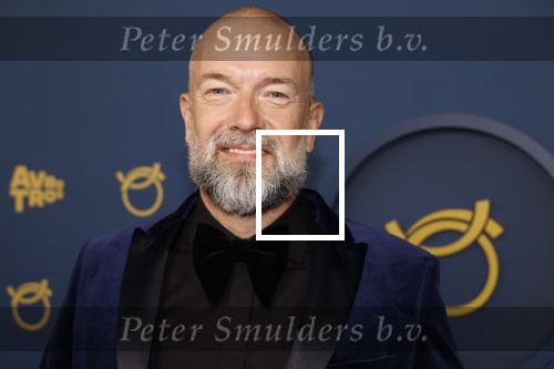 Amsterdam 17 oktober 2024
Het televizierring gala 2024  in carre . Jeroen Kijk in de Vegte