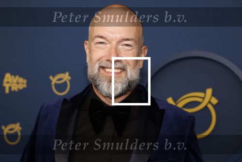 Amsterdam 17 oktober 2024
Het televizierring gala 2024  in carre . Jeroen Kijk in de Vegte