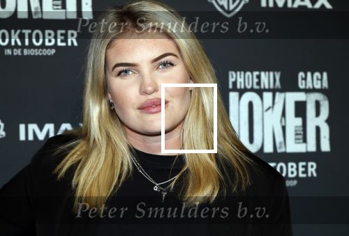 Amsterdam 1 oktober 2024
Premiere the Joker in pathe Arena. Joyce de Mooij