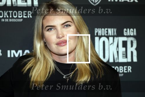 Amsterdam 1 oktober 2024
Premiere the Joker in pathe Arena. Joyce de Mooij