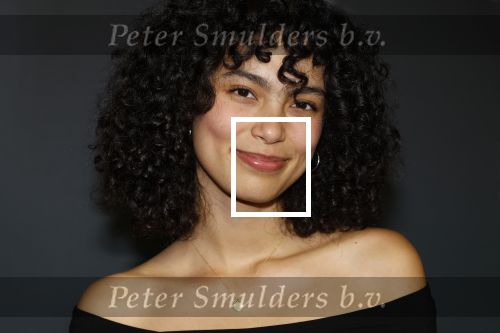 Amsterdam 1 oktober 2024
Premiere the Joker in pathe Arena. Julia Tan met partner