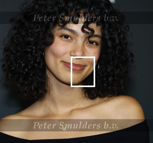 Amsterdam 1 oktober 2024
Premiere the Joker in pathe Arena. Julia Tan met partner