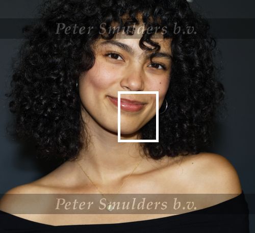 Amsterdam 1 oktober 2024
Premiere the Joker in pathe Arena. Julia Tan met partner