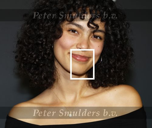 Amsterdam 1 oktober 2024
Premiere the Joker in pathe Arena. Julia Tan met partner