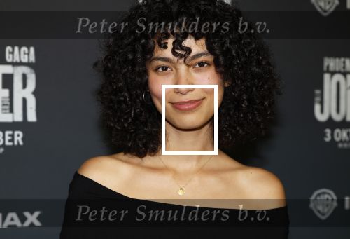 Amsterdam 1 oktober 2024
Premiere the Joker in pathe Arena. Julia Tan met partner