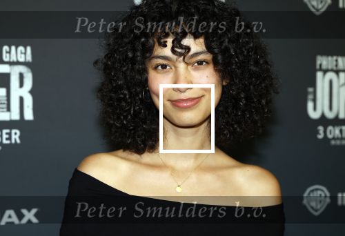 Amsterdam 1 oktober 2024
Premiere the Joker in pathe Arena. Julia Tan met partner