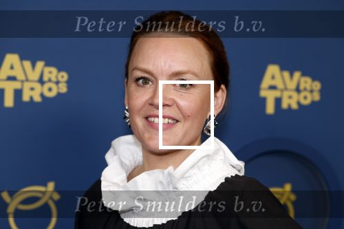 Amsterdam 17 oktober 2024
Het televizierring gala 2024  in carre . Juliette van Ardenne