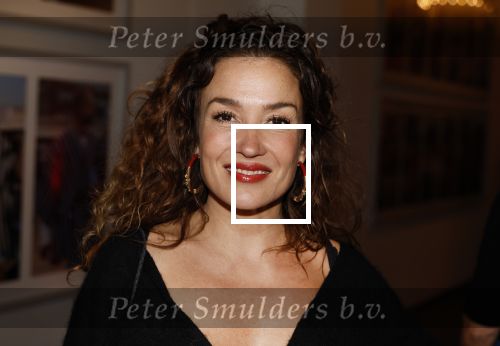 Amsterdam 21 oktober 2024
Premiere in de Jordaan in het deLamar theater. Katja Schuurman kwam met een kennis