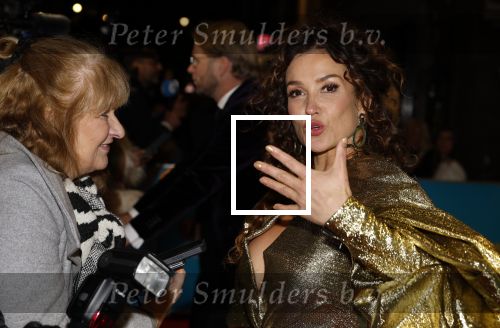 Amsterdam 14 oktober 2024
Premiere de Mannenmaker in Tuschinski met in de hoofdrollen oa Katja Schuurman hier in gesprek met Karin Riethoven