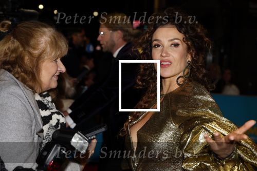 Amsterdam 14 oktober 2024
Premiere de Mannenmaker in Tuschinski met in de hoofdrollen oa Katja Schuurman hier in gesprek met Karin Riethoven