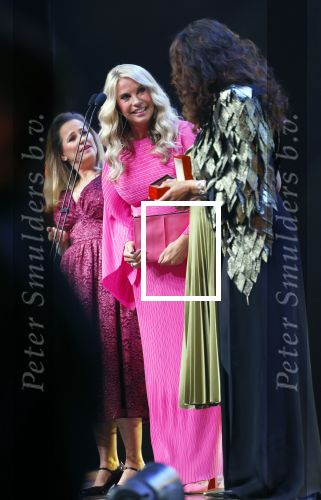 Amsterdam 17 oktober 2024
Het televizierring gala 2024  in carre . De gooische vrouwen Linda de Mol Susan Visser Lies Visschedijk en Tjitske Reidinga