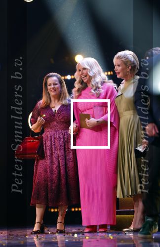 Amsterdam 17 oktober 2024
Het televizierring gala 2024  in carre . De gooische vrouwen Linda de Mol Susan Visser Lies Visschedijk en Tjitske Reidinga