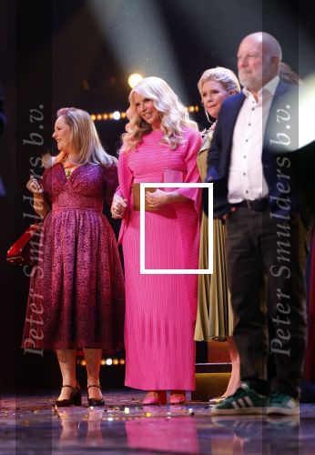 Amsterdam 17 oktober 2024
Het televizierring gala 2024  in carre . De gooische vrouwen Linda de Mol Susan Visser Lies Visschedijk en Tjitske Reidinga