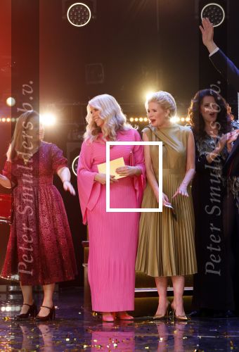 Amsterdam 17 oktober 2024
Het televizierring gala 2024  in carre . De gooische vrouwen Linda de Mol Susan Visser Lies Visschedijk en Tjitske Reidinga