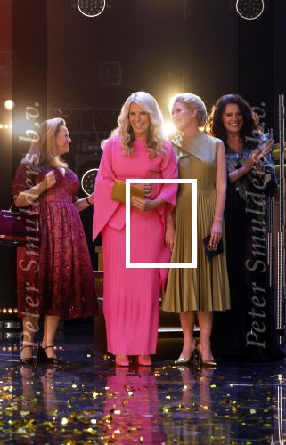 Amsterdam 17 oktober 2024
Het televizierring gala 2024  in carre . De gooische vrouwen Linda de Mol Susan Visser Lies Visschedijk en Tjitske Reidinga