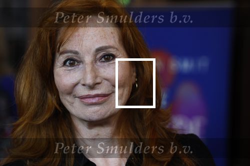 Amsterdam 15 oktober 2024
Boekpresentatie Susan Smit in Hotel the Hoxton . Marian Mudder