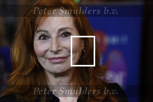 Amsterdam 15 oktober 2024
Boekpresentatie Susan Smit in Hotel the Hoxton . Marian Mudder