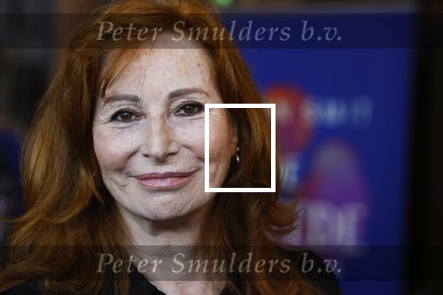 Amsterdam 15 oktober 2024
Boekpresentatie Susan Smit in Hotel the Hoxton . Marian Mudder