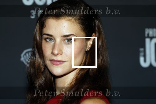 Amsterdam 1 oktober 2024
Premiere the Joker in pathe Arena. Marleen Mathews
