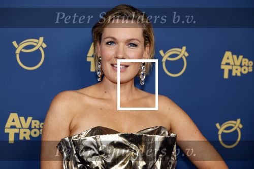Amsterdam 17 oktober 2024
Het televizierring gala 2024  in carre . Marlijn Weerdenburg