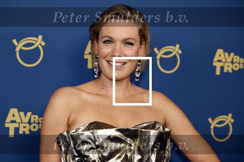 Amsterdam 17 oktober 2024
Het televizierring gala 2024  in carre . Marlijn Weerdenburg