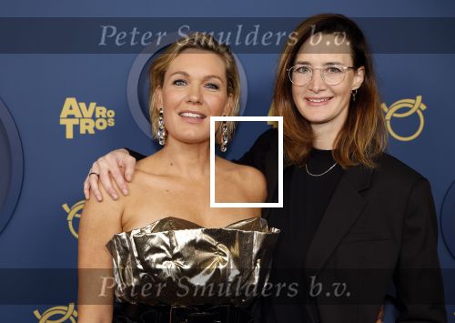 Amsterdam 17 oktober 2024
Het televizierring gala 2024  in carre . Marlijn Weerdenburg
