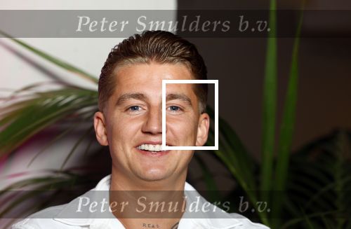 Rotterdam 18 oktober 2024
Frans Bauer treedt voor de 52e keer in ahoy op . Hij tradt oa samen op met zijn zoons Christiaan Frans jr en Jan . Ook Mariska Bauer trad op met Patty Brard . Verder aanwezig Lee Towers Billy Dans Django Wagner Chantal janzen Amar  en Sieneke. Ook de moeder van Frans en moeder van mariska waren aanwezig en zaten op de eerste rij . Mart Hoogkamer