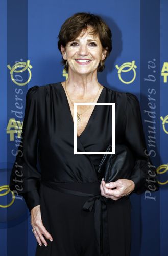Amsterdam 17 oktober 2024
Het televizierring gala 2024  in carre . Martine v Os