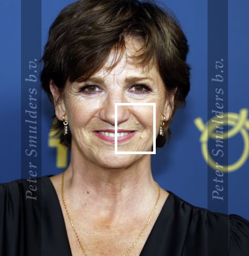 Amsterdam 17 oktober 2024
Het televizierring gala 2024  in carre . Martine v Os
