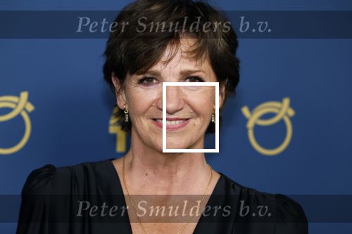 Amsterdam 17 oktober 2024
Het televizierring gala 2024  in carre . Martine v Os