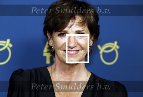 Amsterdam 17 oktober 2024
Het televizierring gala 2024  in carre . Martine v Os