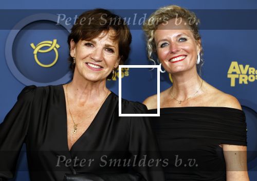 Amsterdam 17 oktober 2024
Het televizierring gala 2024  in carre . Martine v Os