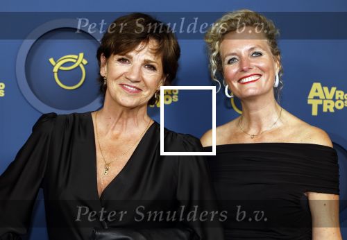 Amsterdam 17 oktober 2024
Het televizierring gala 2024  in carre . Martine v Os