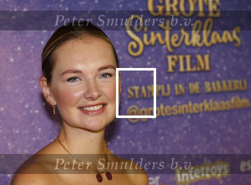Amsterdam 19 oktober 2024
Premiere de grote Sinterklaasfilm in Tuschinski. Martien Meiland kwam met Maxime Meiland Leroy Molkenboer boer en hun kinderen