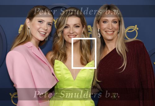 Amsterdam 17 oktober 2024
Het televizierring gala 2024  in carre . Merel Ek kwam met Heleen Hendriks Noa Vahle en Sam Haegens