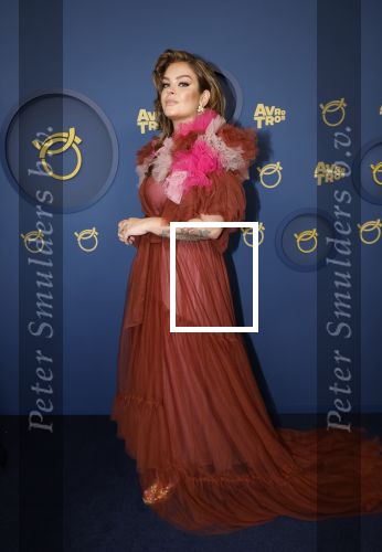 Amsterdam 17 oktober 2024
Het televizierring gala 2024  in carre . Miljuschka Witzenhausen kwam met haar partner