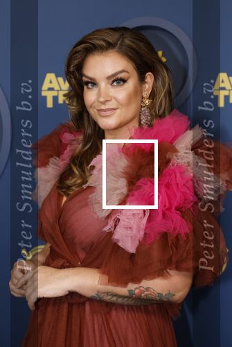 Amsterdam 17 oktober 2024
Het televizierring gala 2024  in carre . Miljuschka Witzenhausen kwam met haar partner