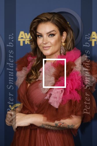 Amsterdam 17 oktober 2024
Het televizierring gala 2024  in carre . Miljuschka Witzenhausen kwam met haar partner