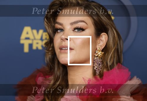 Amsterdam 17 oktober 2024
Het televizierring gala 2024  in carre . Miljuschka Witzenhausen kwam met haar partner