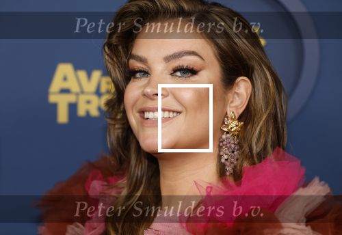 Amsterdam 17 oktober 2024
Het televizierring gala 2024  in carre . Miljuschka Witzenhausen kwam met haar partner